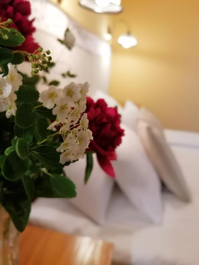佛拉斯佛加多住宿加早餐旅馆 Bükkszék 外观 照片
